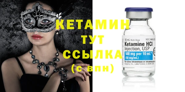 гашик Каменка