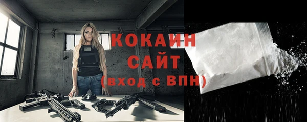 гашик Каменка
