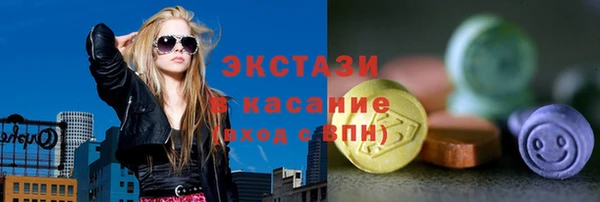 гашик Каменка