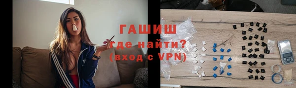 гашик Каменка