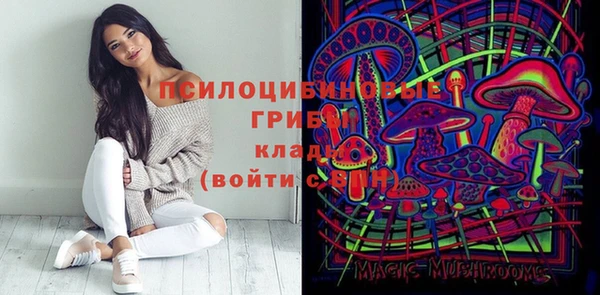 мдпв Инта