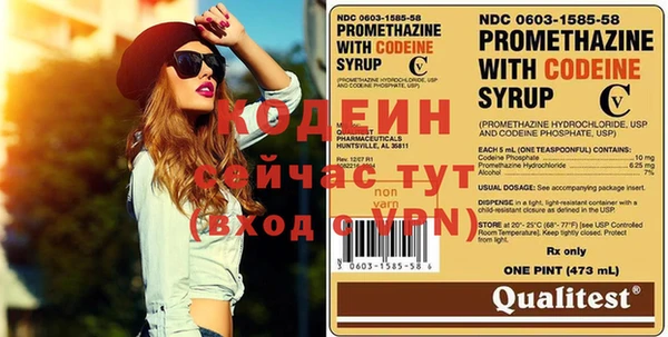 гашик Каменка