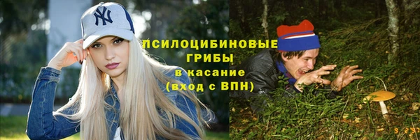 a pvp Инсар