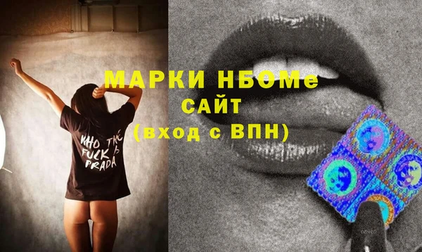 гашик Каменка