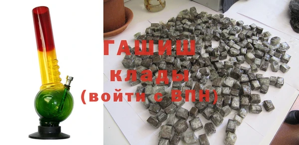 гашик Каменка